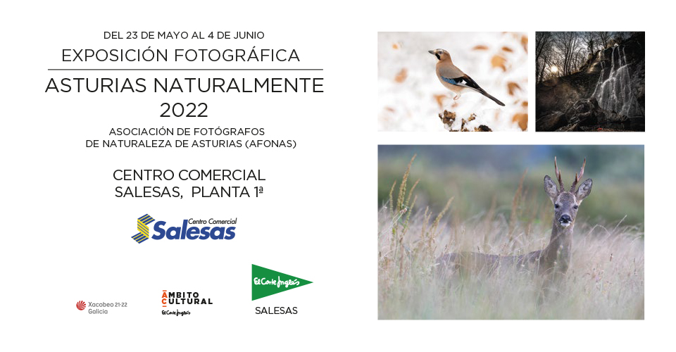 EXPOSICIÓN FOTOGRÁFICA ASTURIAS, NATURALMENTE DE AFONAS
